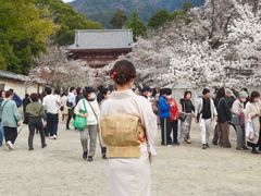 -醍醐寺