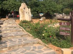 -北京西山国家森林公园