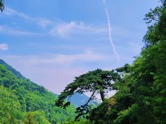 -泰山风景名胜区