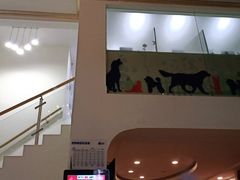 -宠颐生汉谟拉比宠物医院