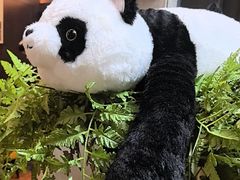 -了凡国风主题茶馆·咖啡(武侯祠锦里店)