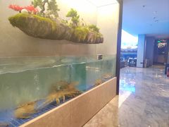 -外滩·云南人家(昆明旗舰店)