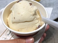 冰淇淋单球-哈根达斯(青岛海信店)
