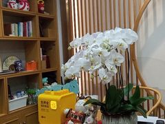 -子曰书院·古筝围棋书法国画小主持(夏都店)