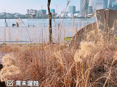 -上海山野camping·户外天幕烧烤·团建拓展营地