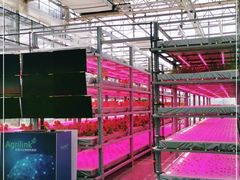 -中国农科院国家农业科技展示园