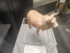 -隋唐大运河文化博物馆