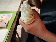 -麦当劳(祈年大街店)