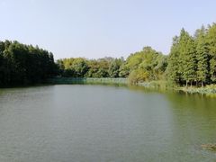 -东湖落雁景区