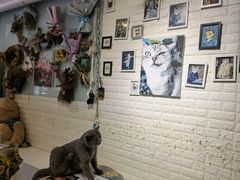 -平行世界·猫咖(首经贸店)