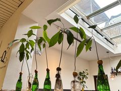 -沏点Trattoria意大利餐厅(新街口店)