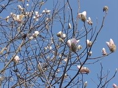 -广富林郊野公园