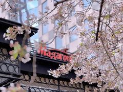 -玛格萝妮比萨屋(四平店)