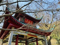 -岳麓山风景名胜区