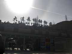 -大连森林动物园