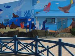 -海合安成都极地海洋公园