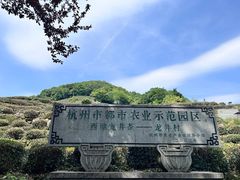 -龙井村
