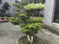 -张公山寨景区