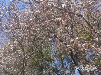 晚上本来去大胡子烧烤吃呢，他们家没有开门，就来这家兄