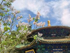 -潭柘寺景区
