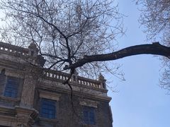 -张学良旧居陈列馆