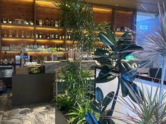 -北京东三环希尔顿逸林酒店