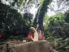 -七仙岭温泉国家森林公园