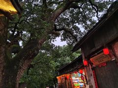 -古堰画乡景区