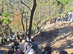-四明山国家森林公园