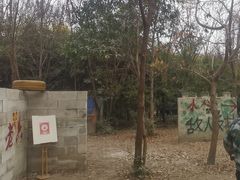 -勇士之星真人CS·团建·拓展(清水河公园店)