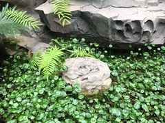 -世外桃源农庄·德清土菜(兴康南路店)