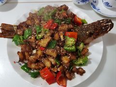 -煲来饱去冷水鱼