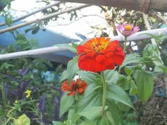 -祝幺妹火锅(裕华村总店)