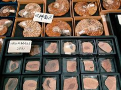 -中国湿地博物馆