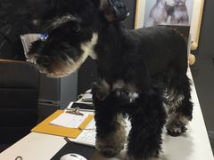 -八公叔叔宠物美容连锁(春申店)