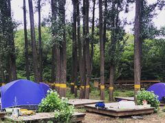 -蟠龙山长城景区