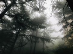 -崂山巨峰游览区