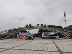 -紫颐香薰山谷景区