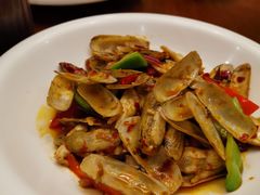 辣炒橙子-三泉海中鲜海鲜加工零售广场(幸福时代店)