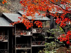 -祁门牯牛降观音堂风景区