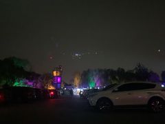 -枫花园汽车电影院(朝阳公园店)