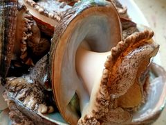 -港畔赶海蒸汽海鲜烧烤自助(仙螺岛店)