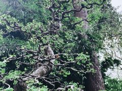 -成都杜甫草堂博物馆