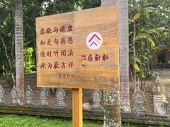 -西双版纳傣族园
