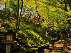 -常寂光寺