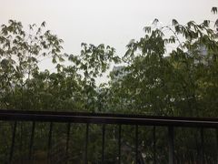 -生如夏花泰式火锅(西村黑金店)