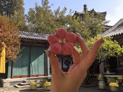 -宫事颐庭·老佛爷贵寿下午茶(颐和园店)