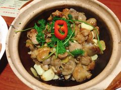 砂锅啫啫鸡煲-香港仔茶餐厅(凤阳店)