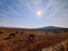 -塞罕坝国家级自然保护区