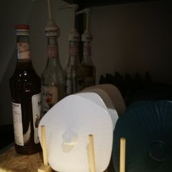 -王姑娘的店
